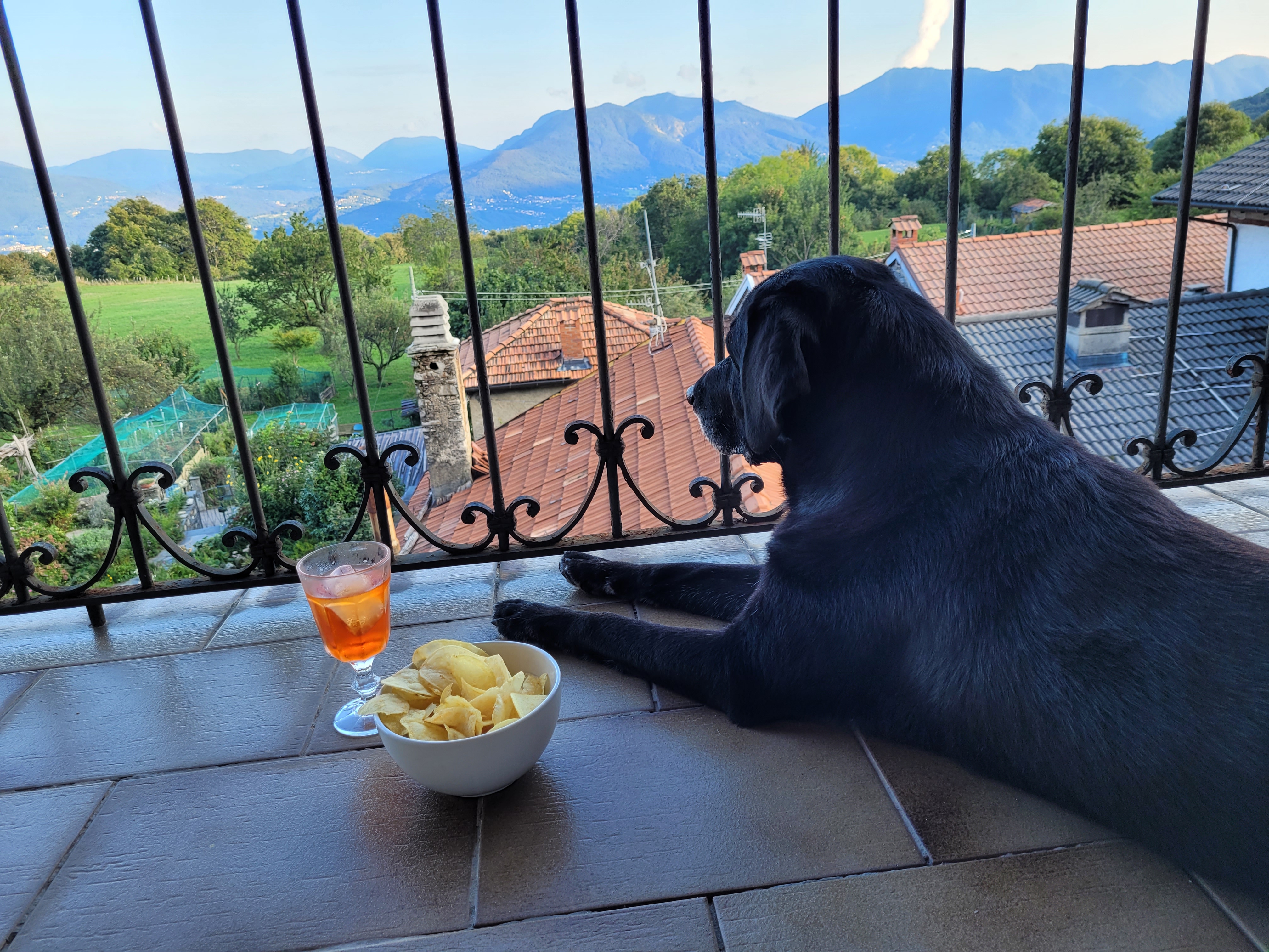 Charly beim Aperitivo